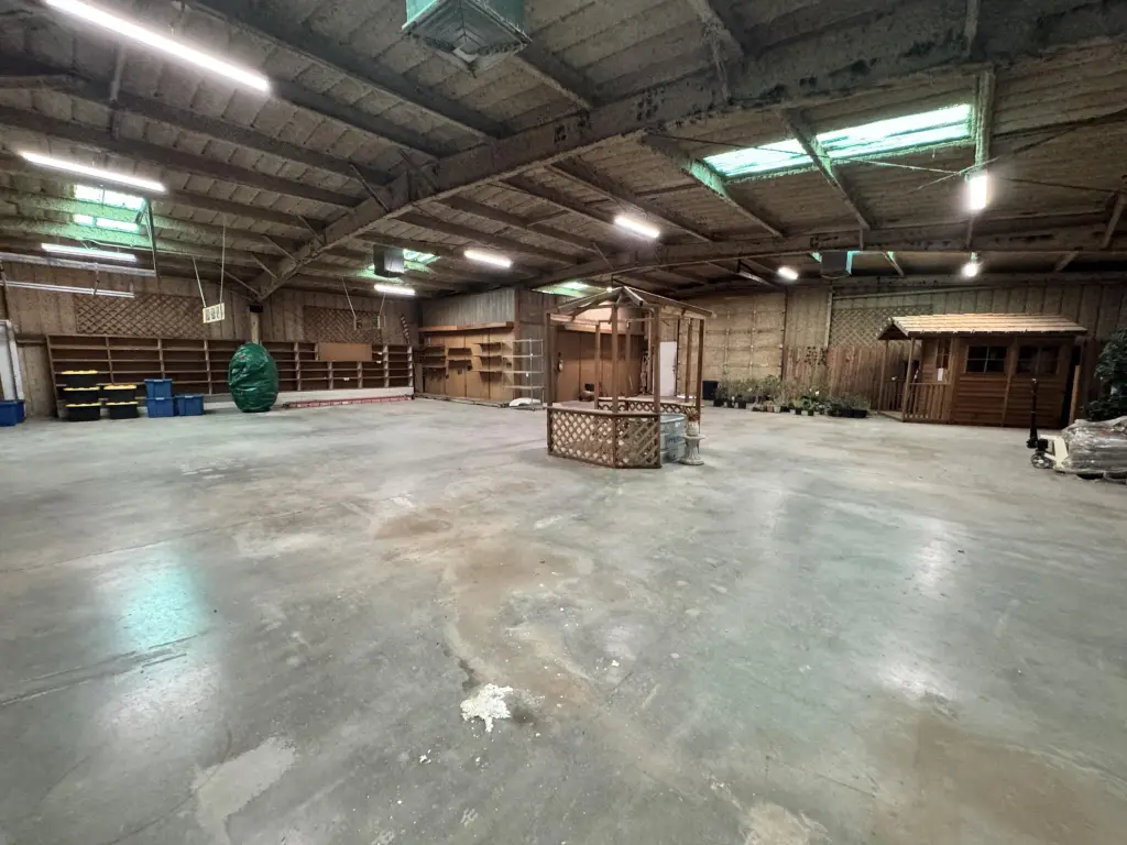 Picture 21