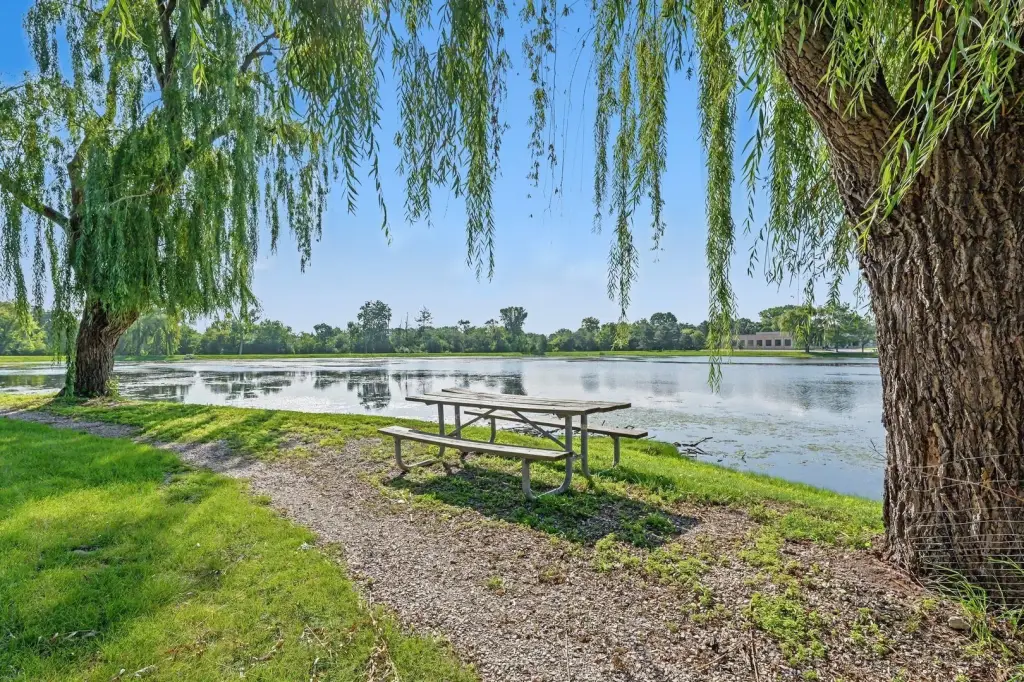 Picture 22