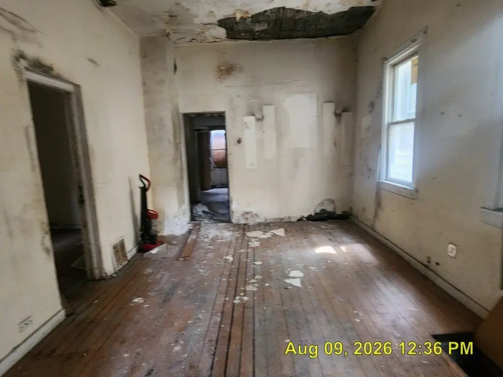 Picture 5