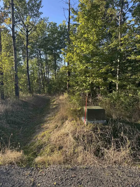 Picture 19