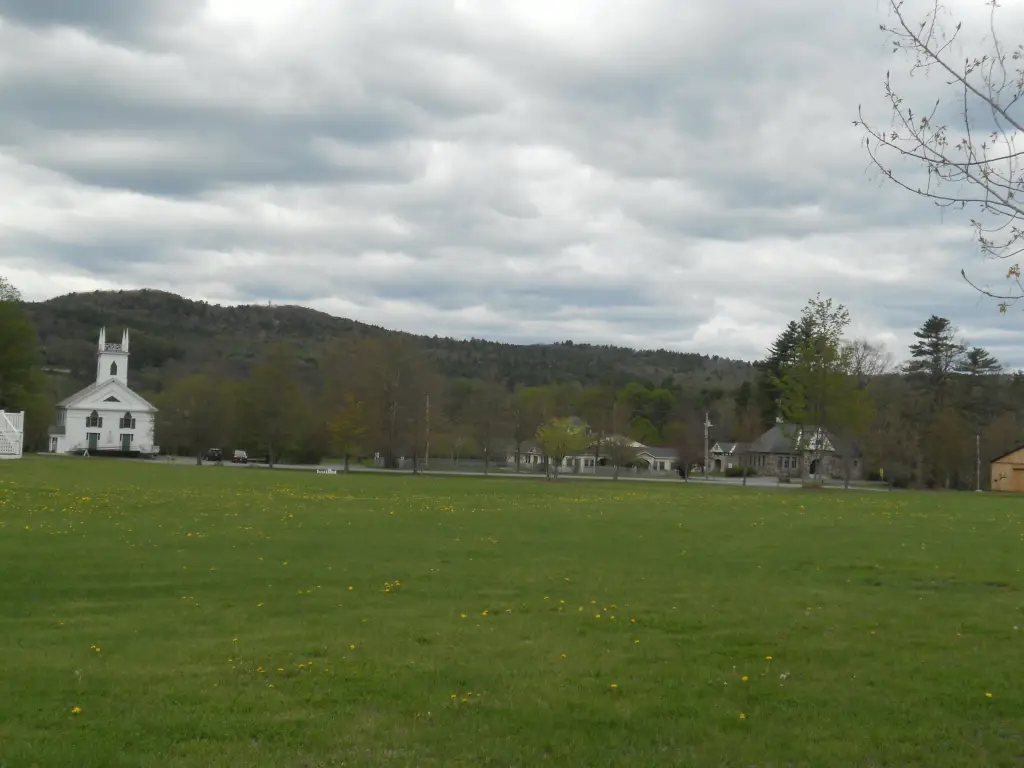 Picture 7