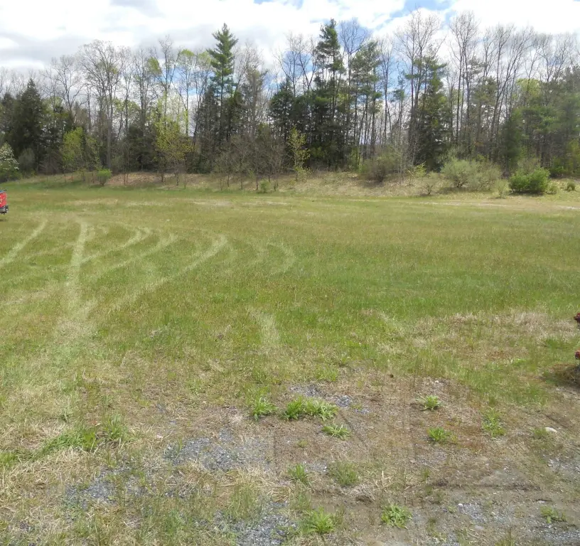 Picture 5