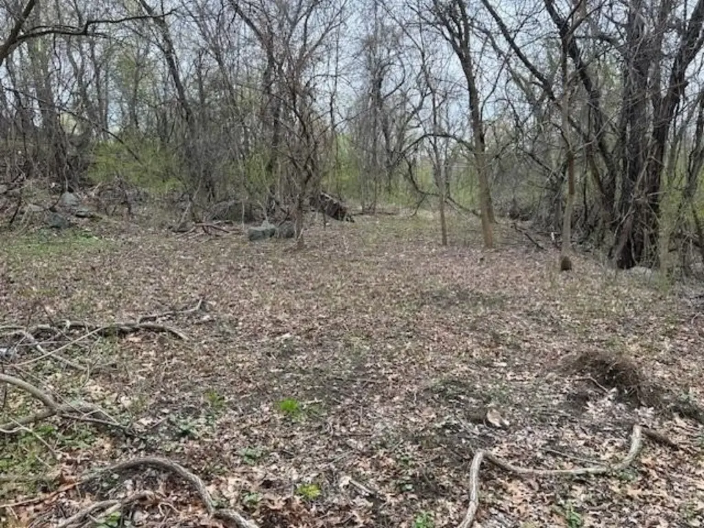 Picture 15