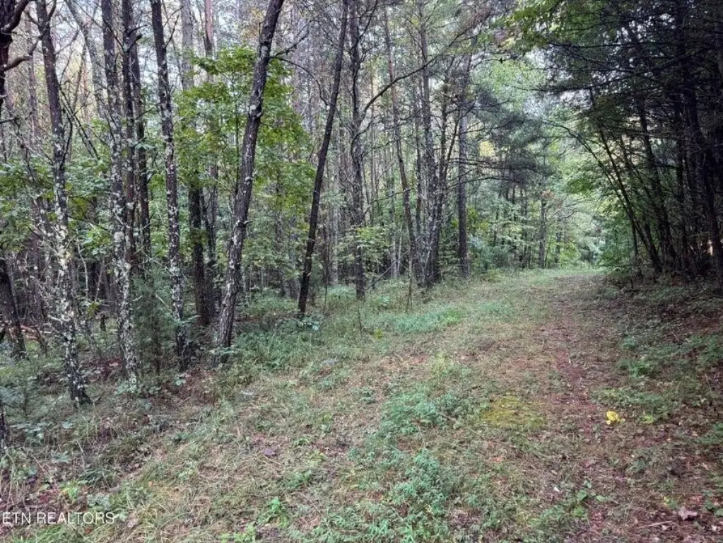Picture 31