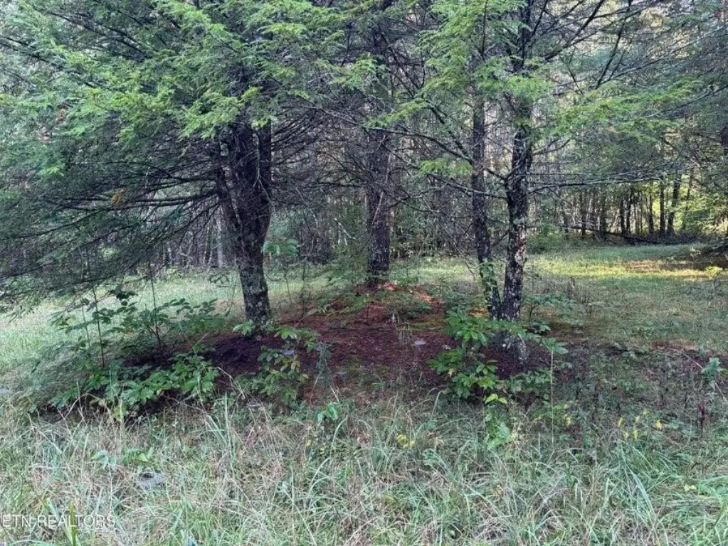 Picture 32
