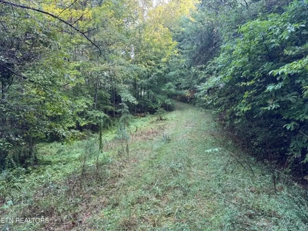Picture 29