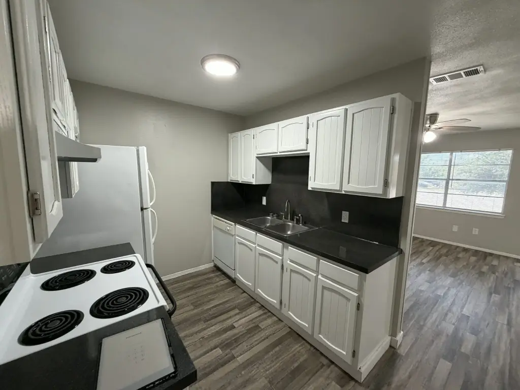 Picture 8