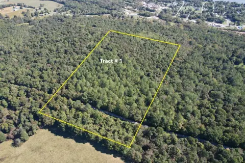 Hardin County Wooded Hunting Land