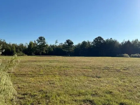 Cleared Land in Petrey, Alabama