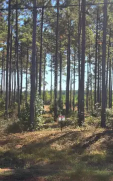 Land Near Toledo Bend Lake