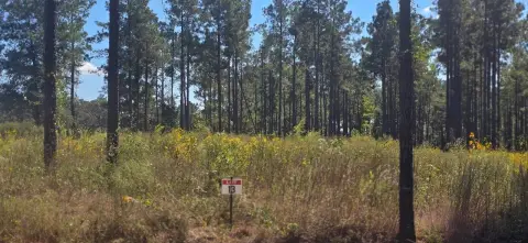Land Near Toledo Bend Lake