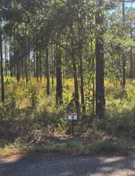 Land Near Toledo Bend Lake
