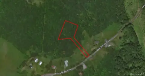 Livingston Manor Buildable Lot