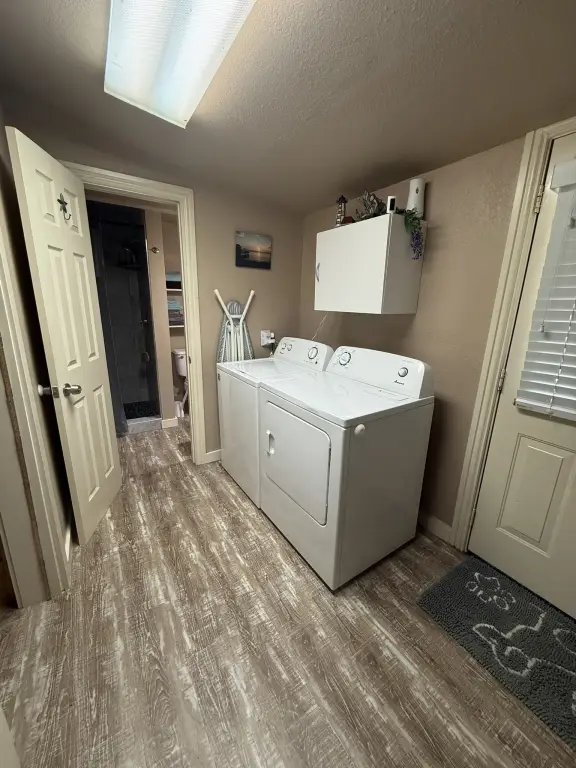 Picture 11