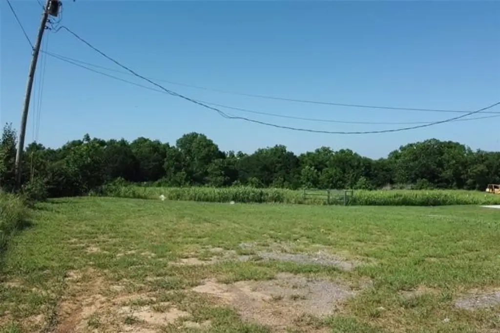 Picture 15