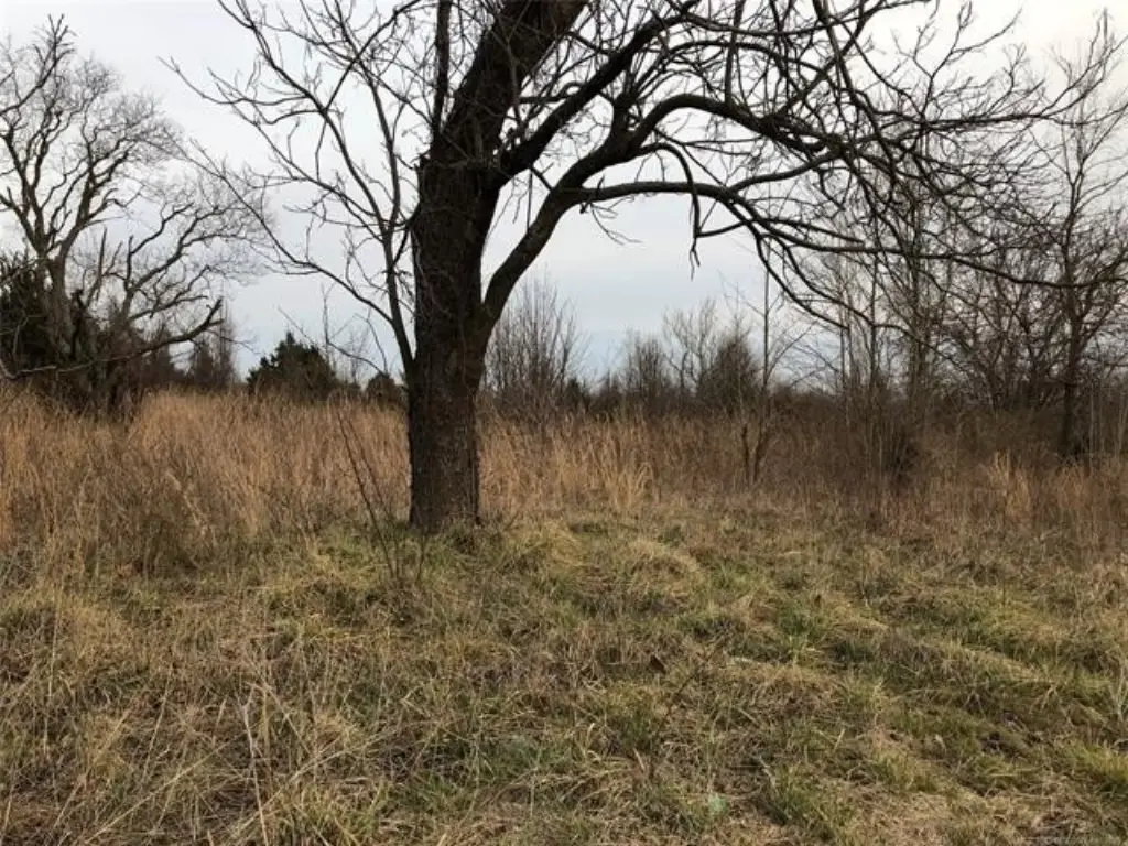 Picture 3