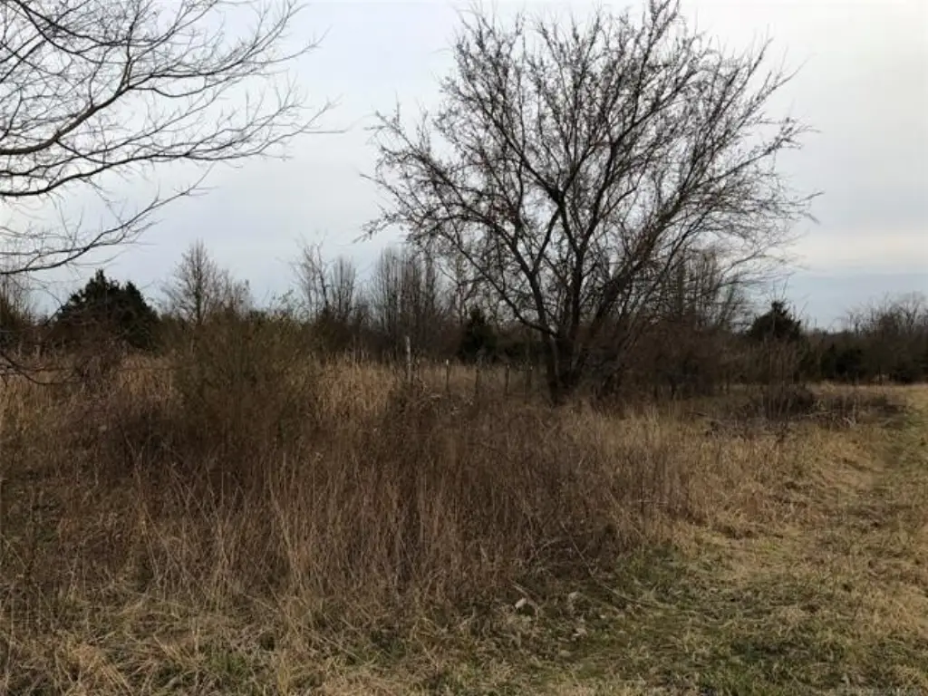 Picture 13
