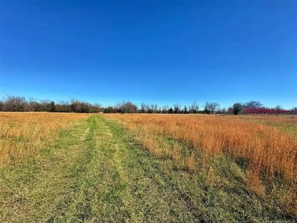 Picture 36