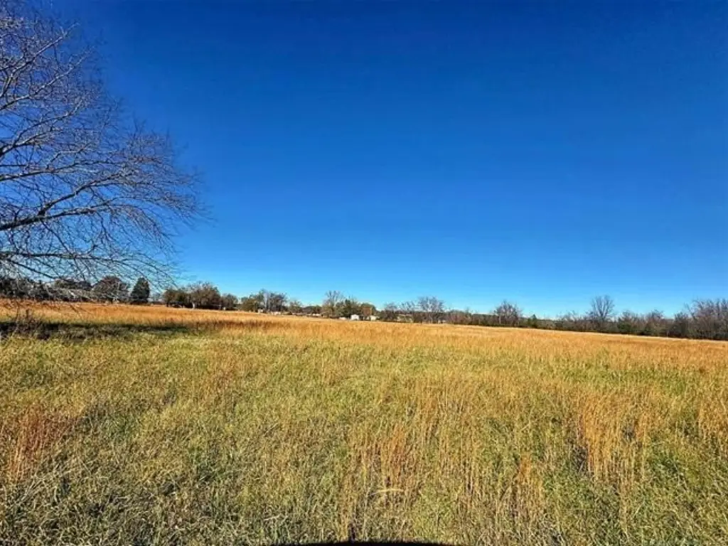 Picture 25