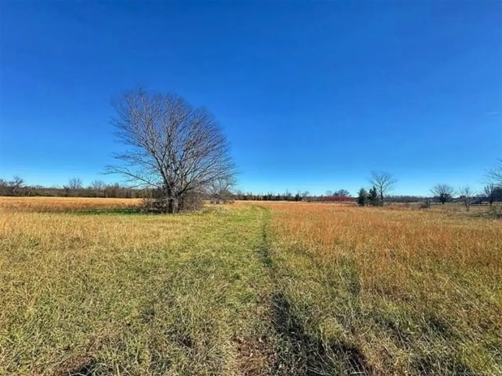 Picture 22