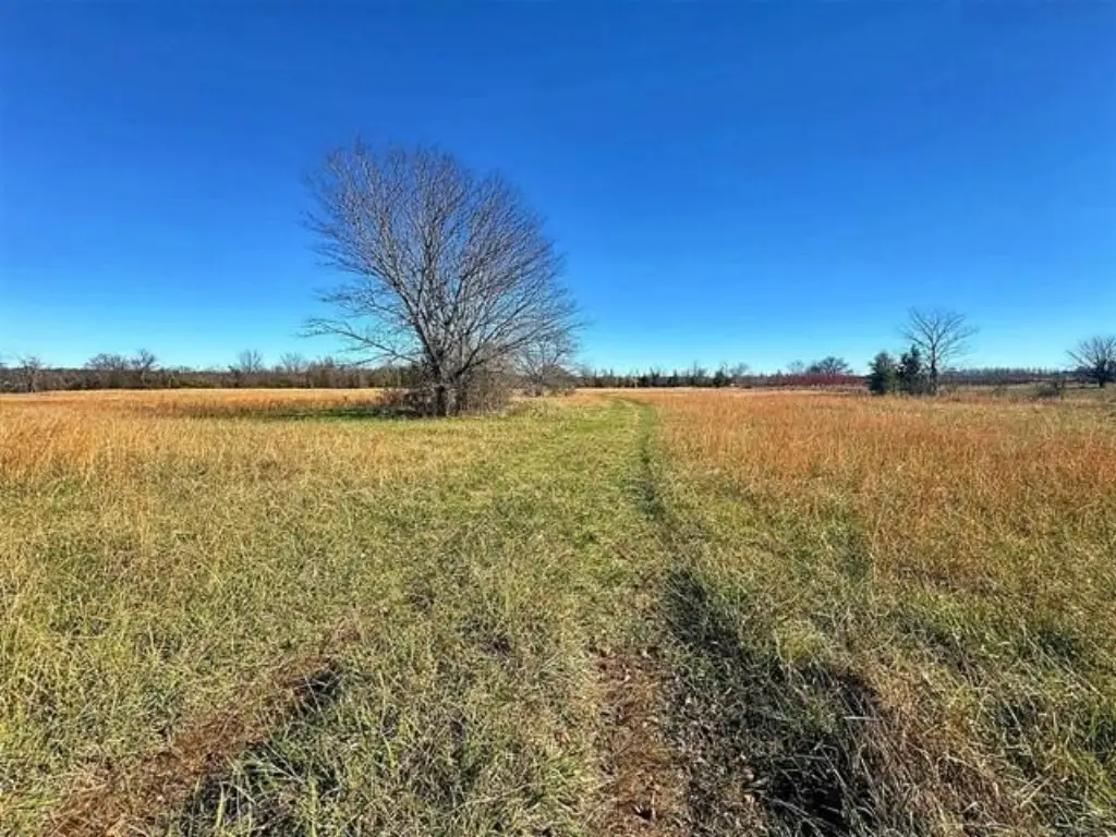 Picture 19