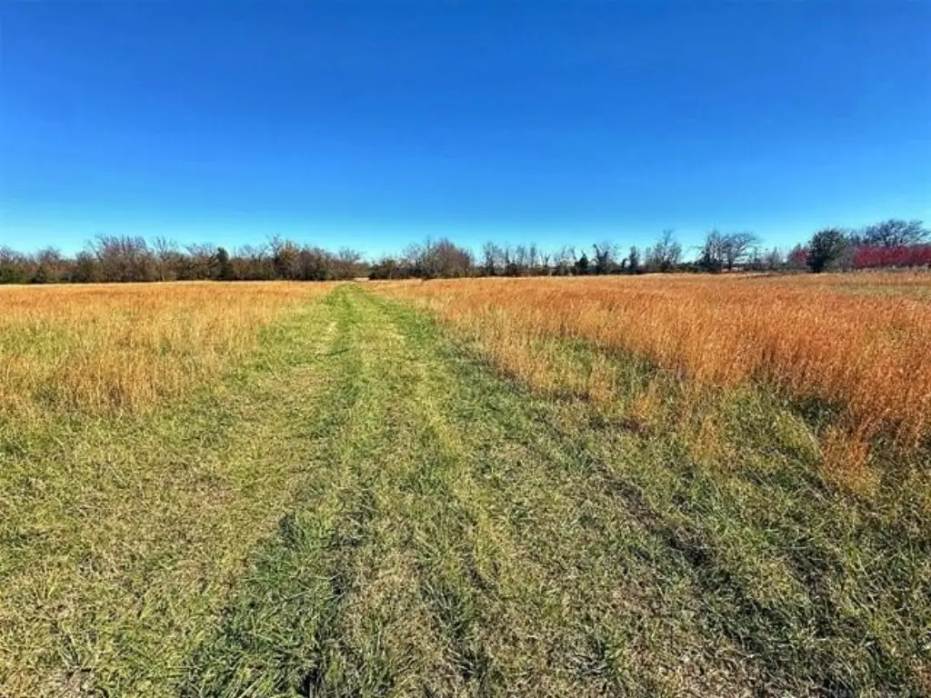 Picture 38