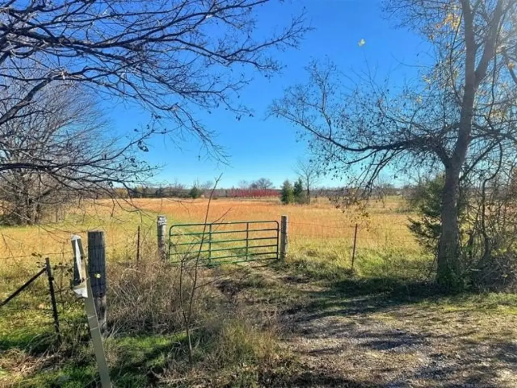 Picture 17