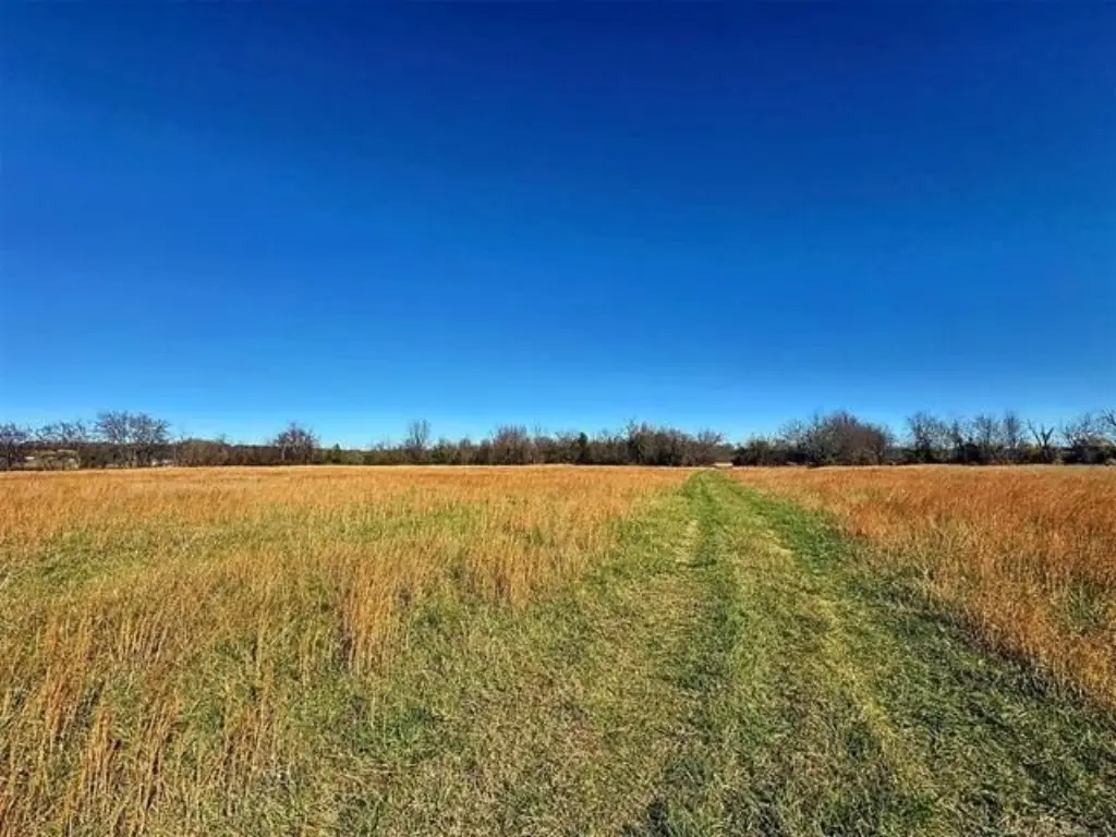 Picture 35