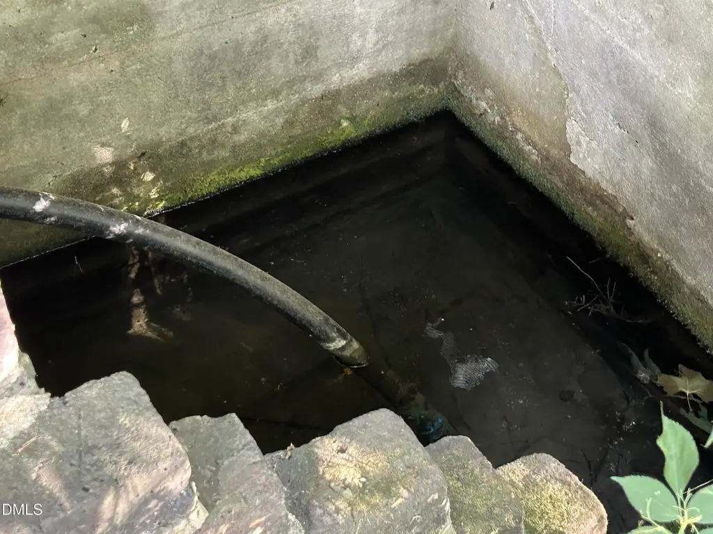 Picture 18