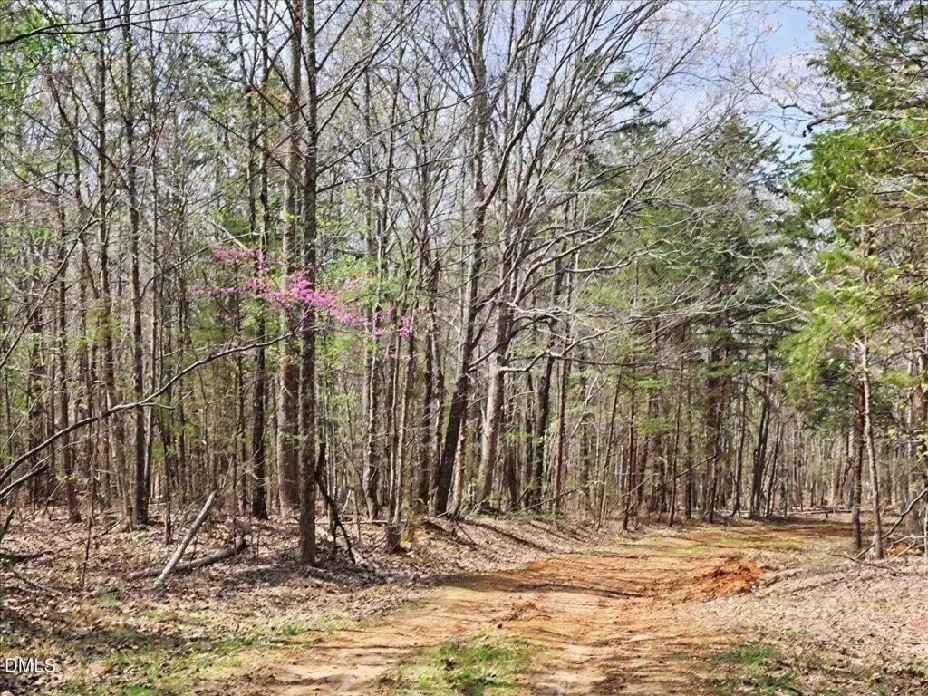 Picture 29