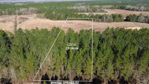 Land Near Escambia River