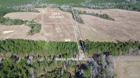 Partially Wooded Land in Jay, FL