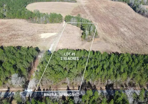 Land Near Escambia River