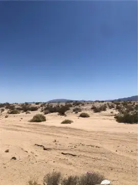 Prime Land in 29 Palms
