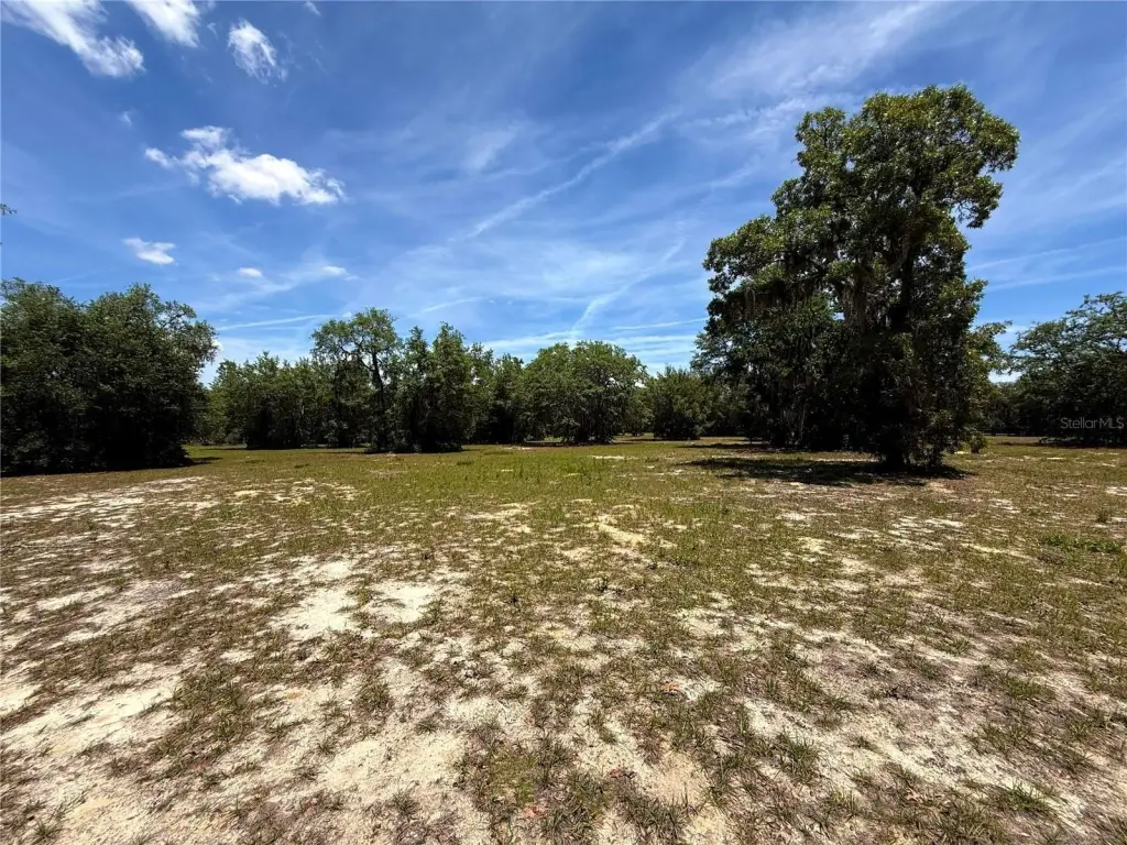 Picture 10