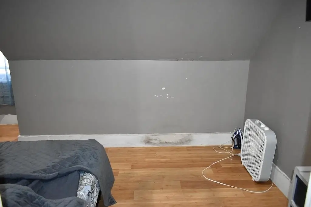 Picture 42
