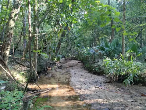 Wooded Land with Flowing Creek