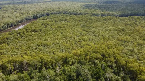 275 Acres Vacant Land, Maurepas