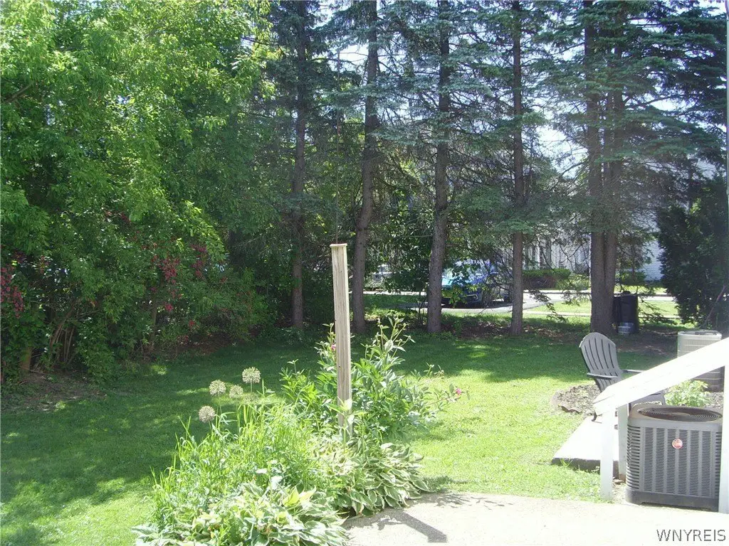 Picture 4