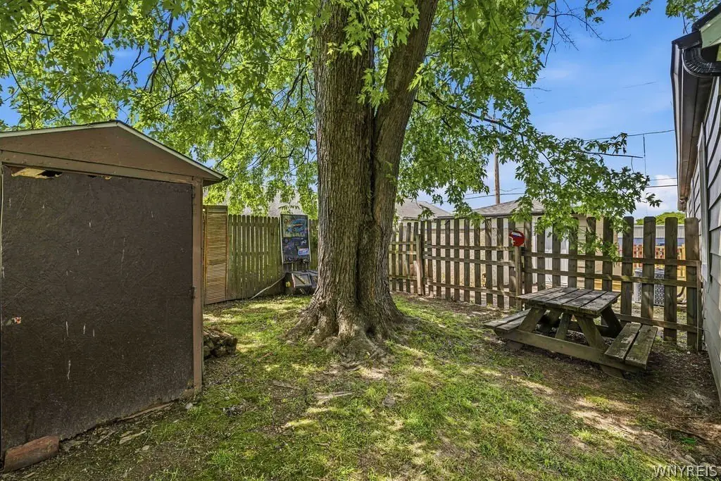 Picture 35