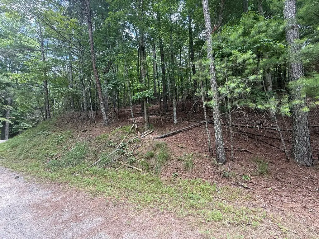 Picture 2