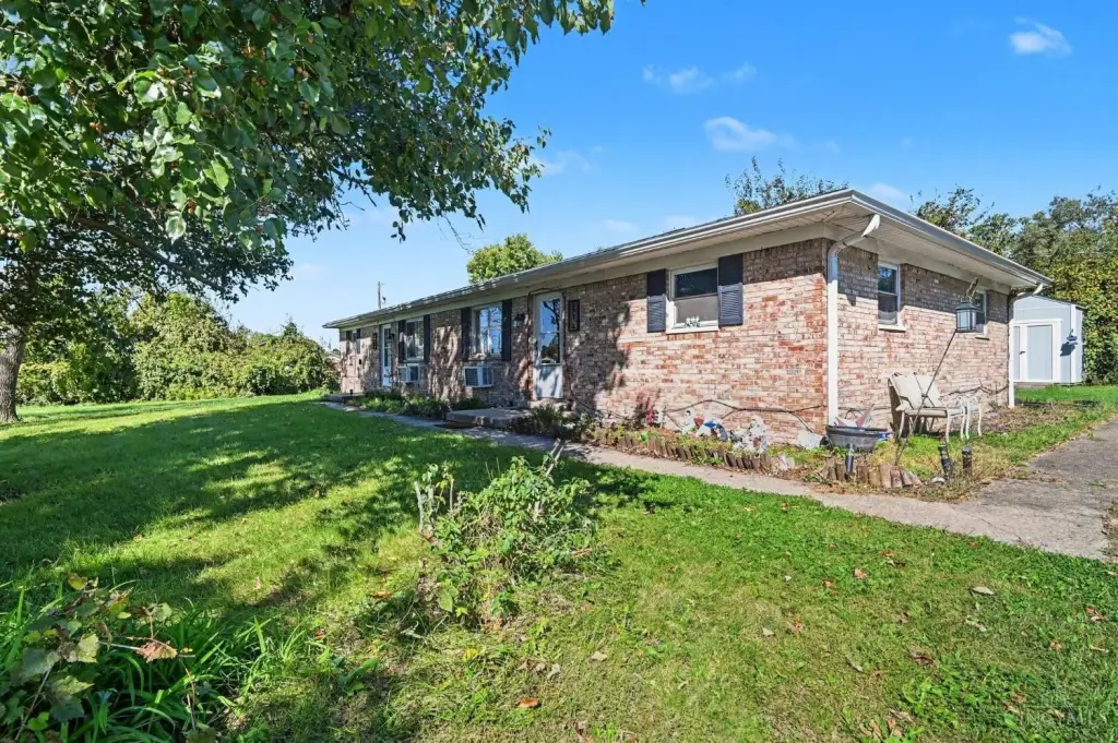 Picture 3