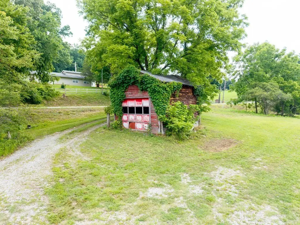 Picture 14