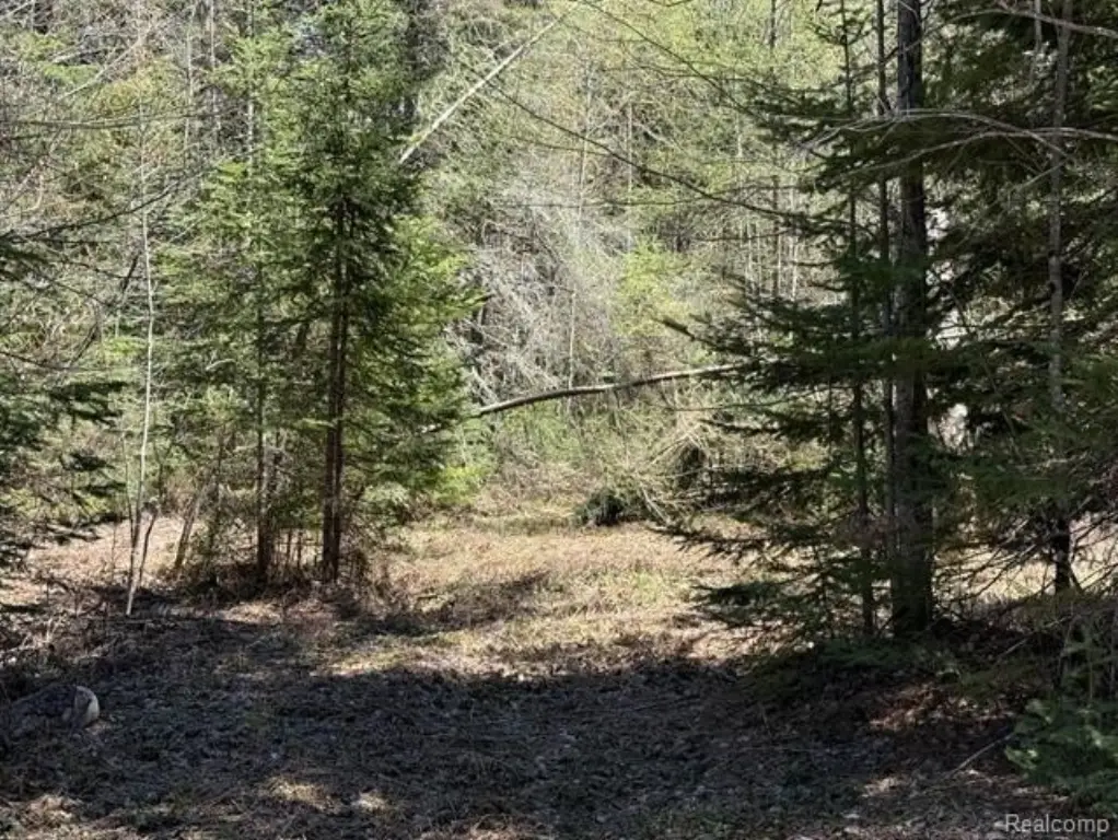 Picture 14