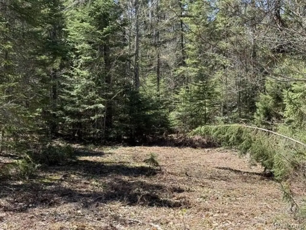 Picture 16