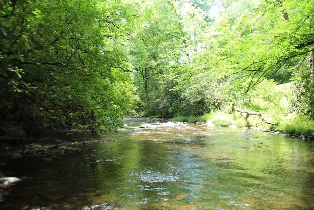 Picture 2