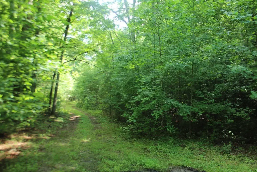 Picture 10