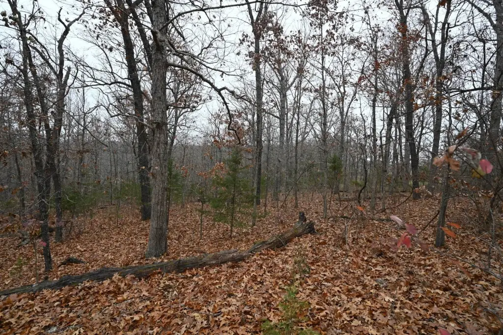 Picture 6