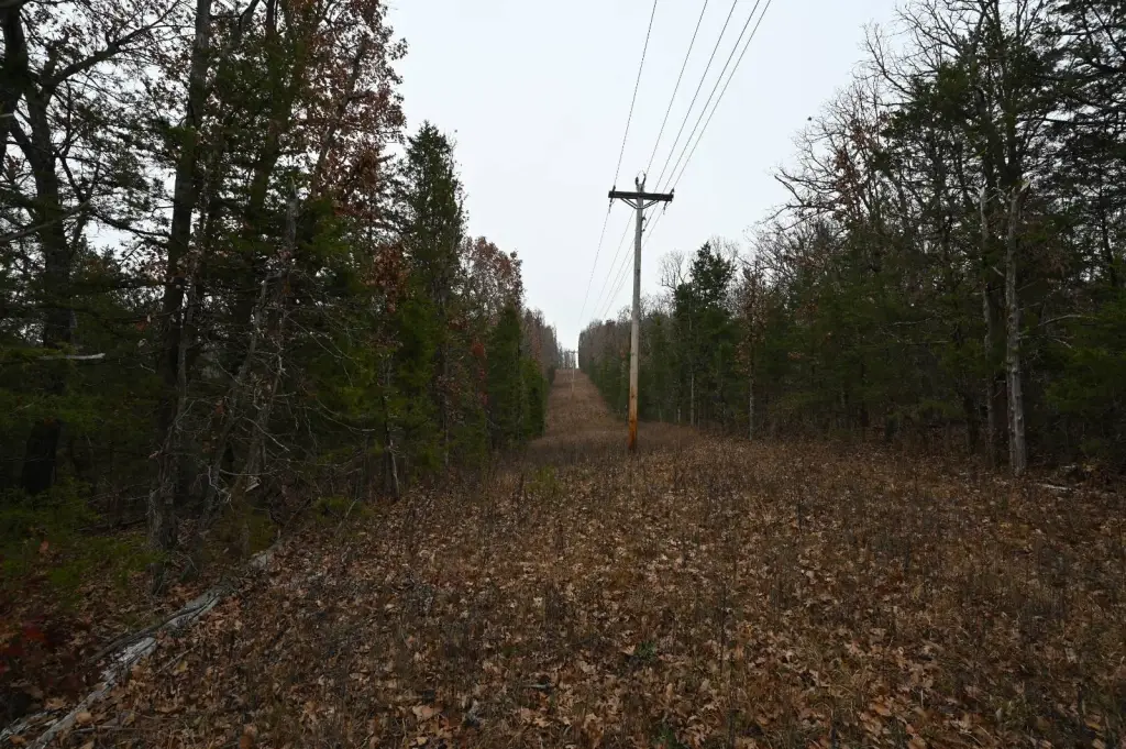 Picture 18