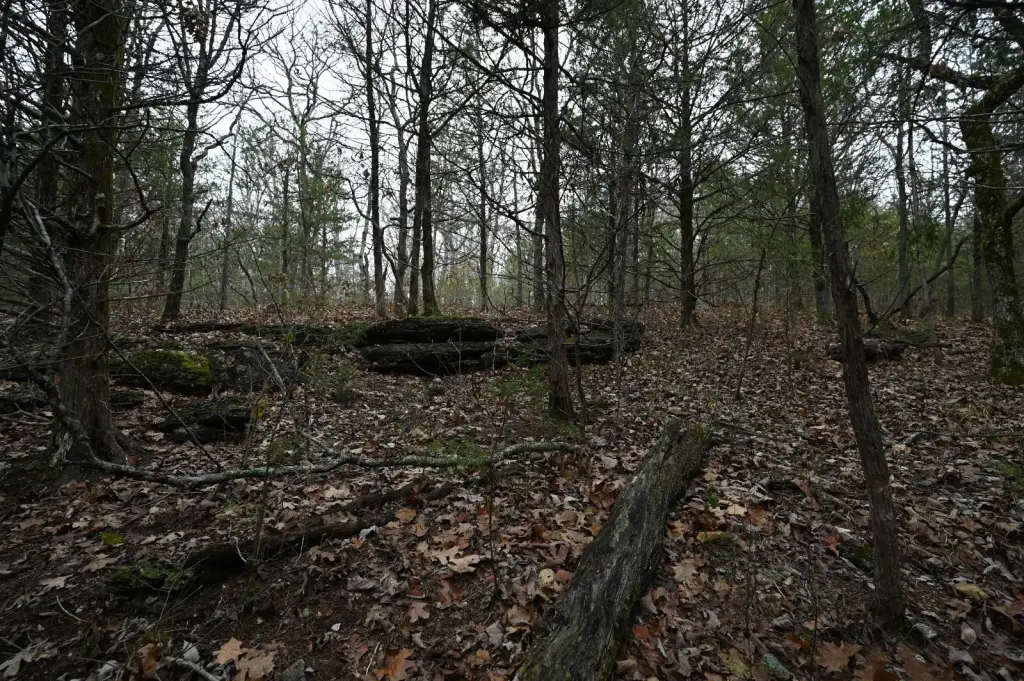 Picture 15